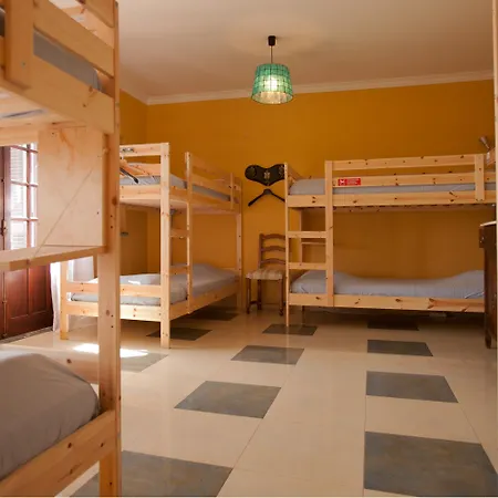Chill Hill & Private - Peach Garden Hostel *