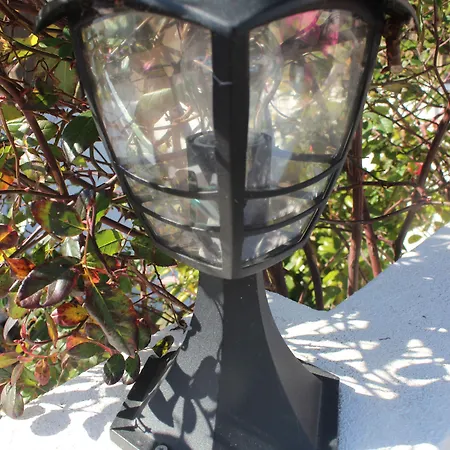 Chill Hill & Private - Peach Garden Hostel *