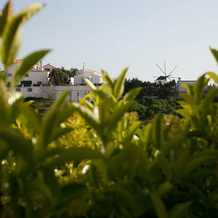 Chill Hill & Private - Peach Garden Hostel