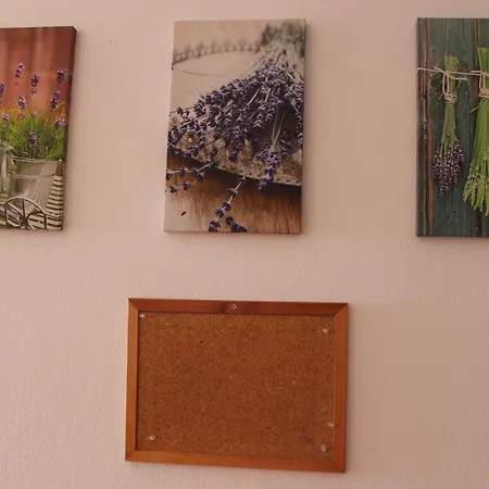 Chill Hill & Private - Peach Garden Hostal