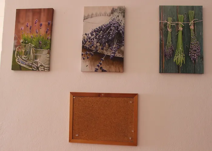 Chill Hill & Private - Peach Garden Vandrarhem