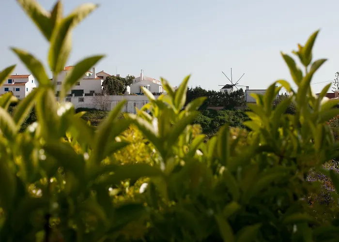 Chill Hill & Private - Peach Garden Hostel