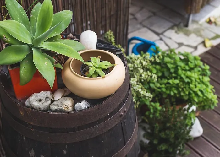 Chill Hill & Private - Peach Garden *